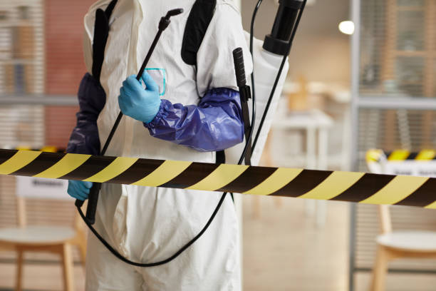 Professional Hoarding Cleanup technician working in Mantua, UT